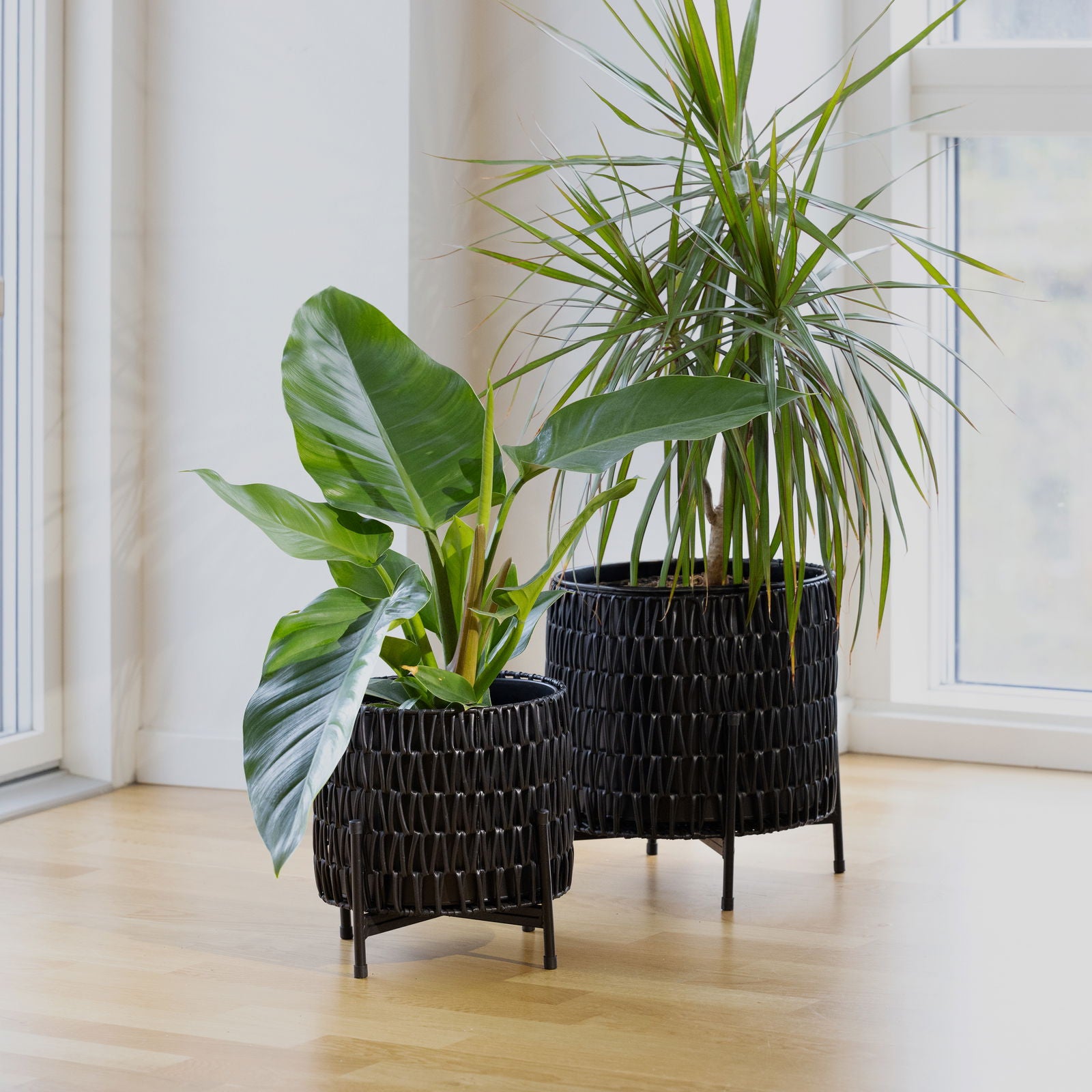 Rattan plantekurve, sort - 2 stk